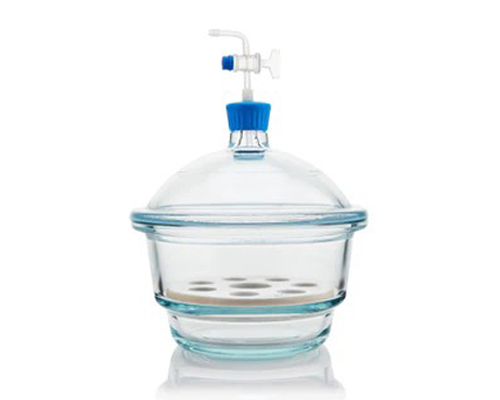 DESSICATOR WITH COVER BOROSILICATE GLASS
